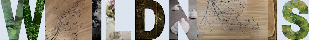 11_Bildschirmfoto_1050_pixel